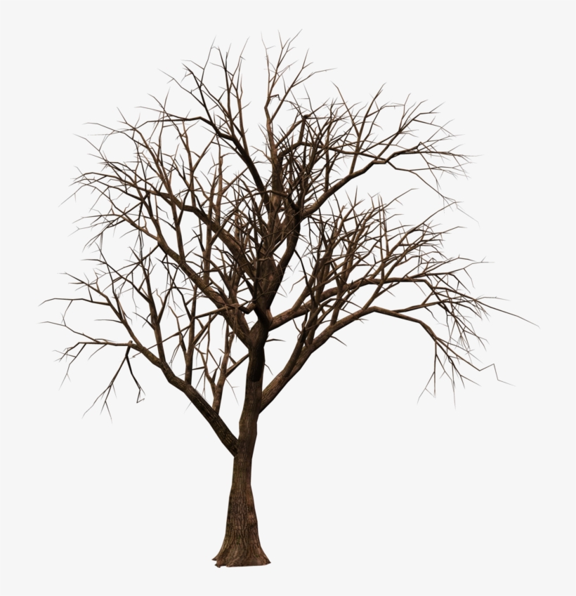 Страшные Картинки В Пнг, transparent png download