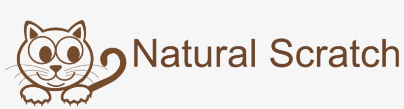 Cat Scratching Posts - Natural Way To Detoxify: The Mot Natural Way To Purify, transparent png download