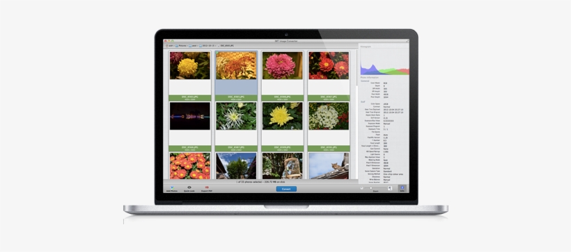 Mac Image Converter And Batch Photo Resizer, Convert - Flat Panel Display, transparent png download