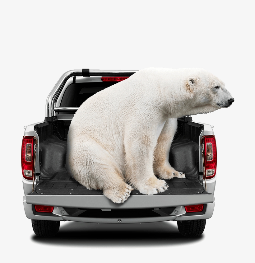 Favi Wifi Projector (j10-led-pico) Black, transparent png download