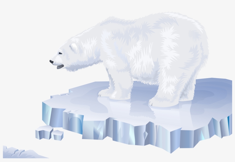 Polar Bear, transparent png download