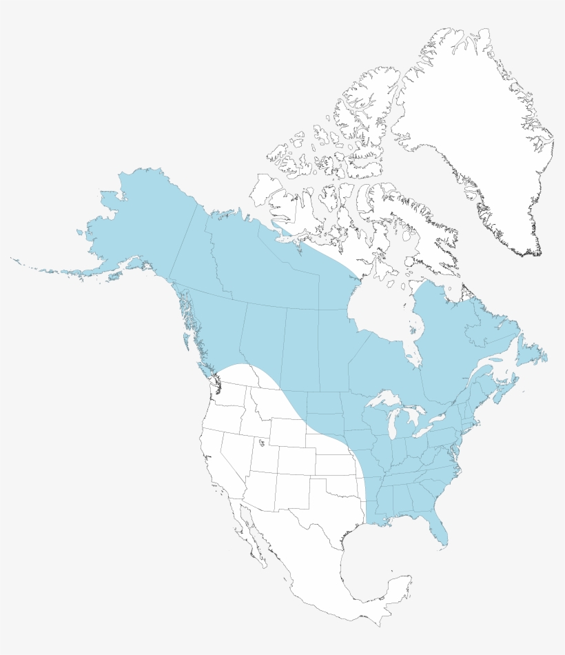 Mink Map - Nunavut: A Health System Profile, transparent png download