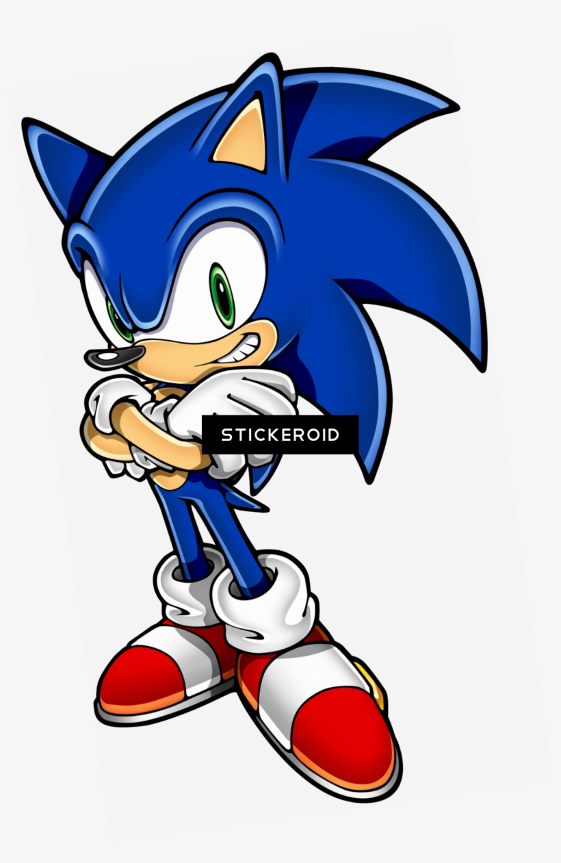 Sonic Hedgehog Standing Blue - Sonic Rush 2 Adventures Game Ds, transparent png download