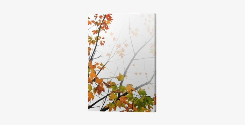 Background Of Fall Maple Leaves And Tree Branches Canvas - Fall Background, transparent png download