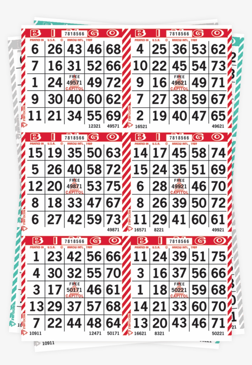 Bingo Bingo