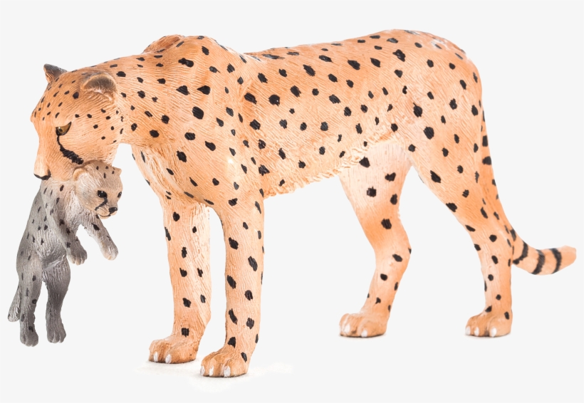 Animal Planet: Cheetah Female With Cub, transparent png download