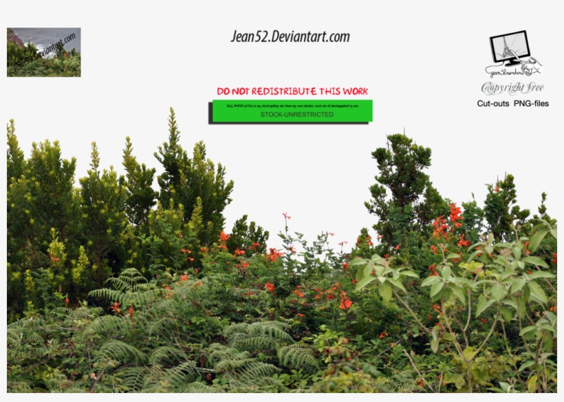 Photoshop - Portable Network Graphics, transparent png download