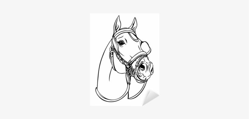 Horse Head Vector Png Download - Calco Manías De Caballos Para Carros, transparent png download