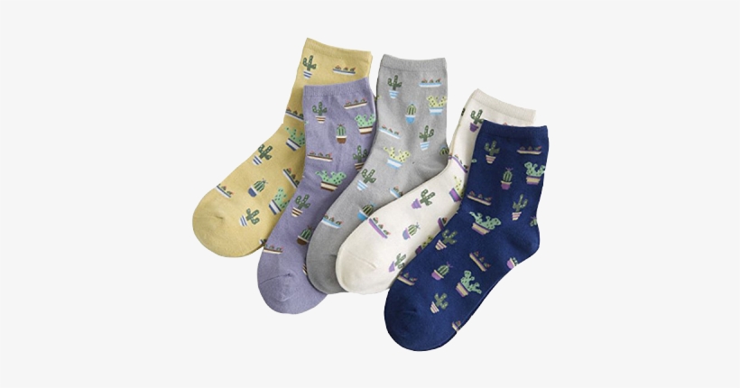 Cactus Print Socks, transparent png download