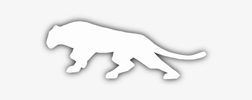 Panther - Portable Network Graphics, transparent png download