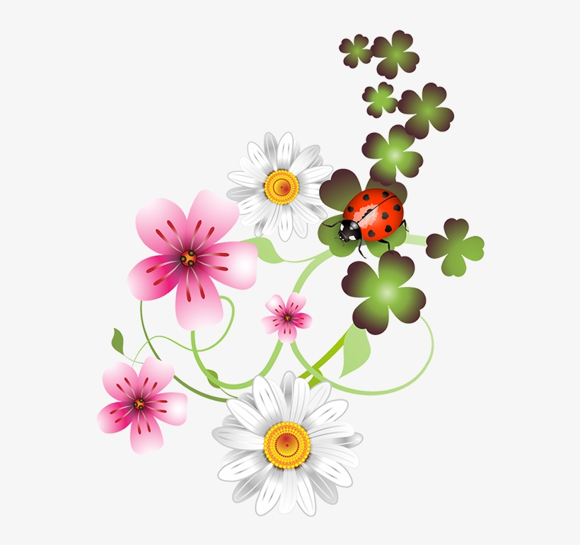 Daisy Clipart Flores - Cliparts Bloemen Png, transparent png download