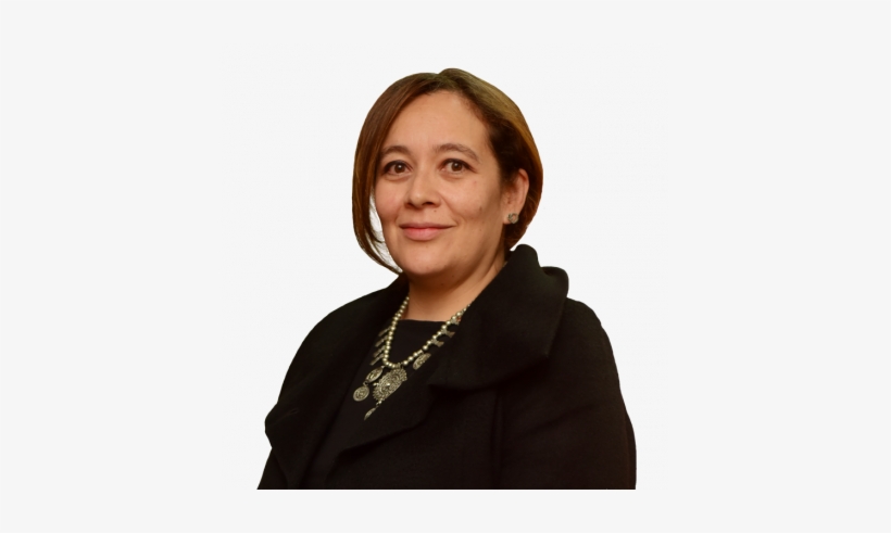 Bernarda Flores Ivanovic - Woman, transparent png download