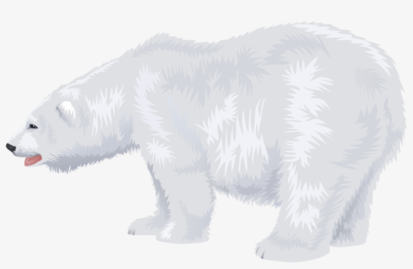 Polar Bear Free Transparent Images - Portable Network Graphics, transparent png download
