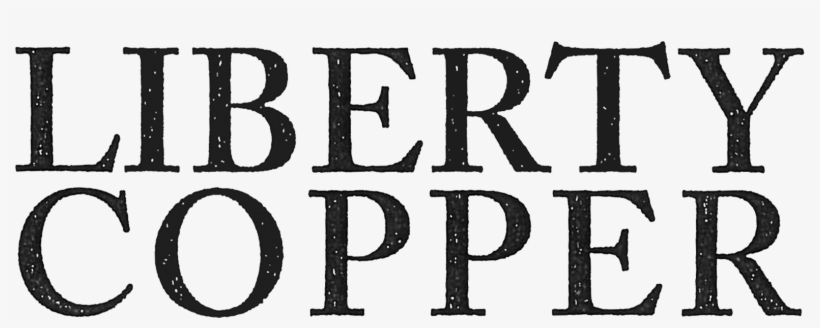 The Statue Of Liberty - Liberty Career Academy Logo, transparent png download