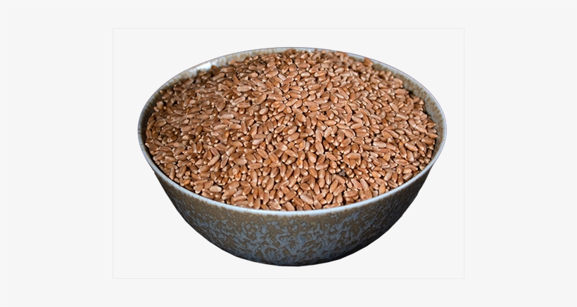 Wheat Berries, Hard Red - Lundberg Family Farms, transparent png download