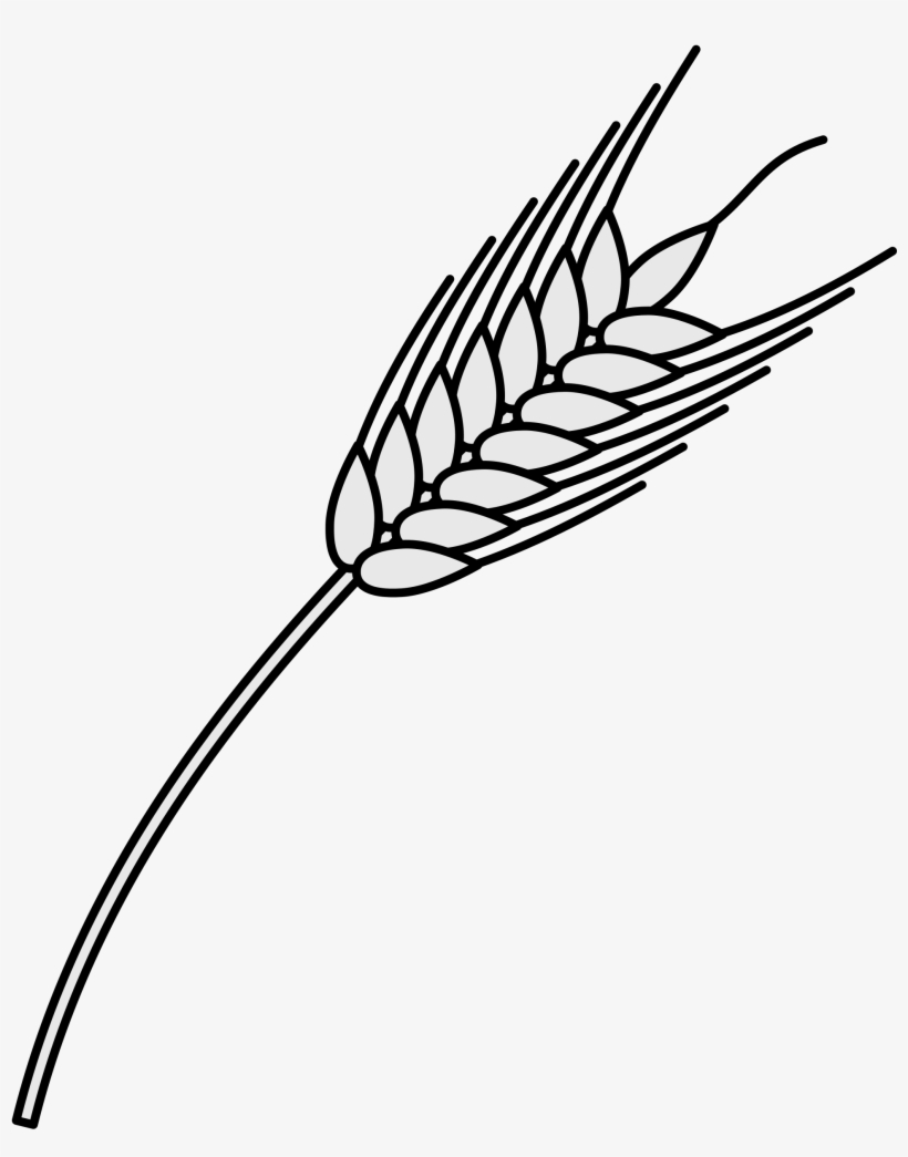 Open - Wheat Heraldry Png, transparent png download