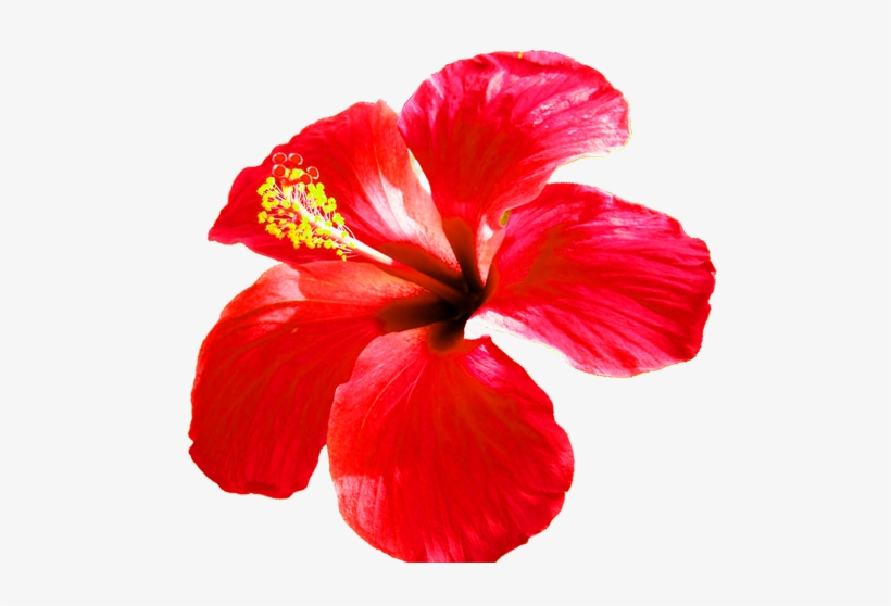 Green Magic Hair Growth Cream, transparent png download