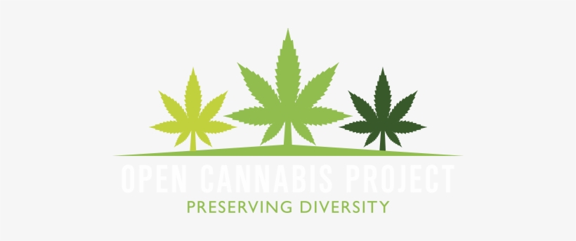 The Role Of Generic Strains In The Cannabis Market - Marijuana Leaf, transparent png download