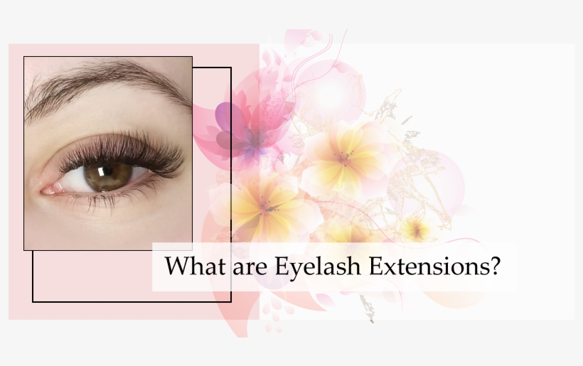 Eyelash Extensions, transparent png download