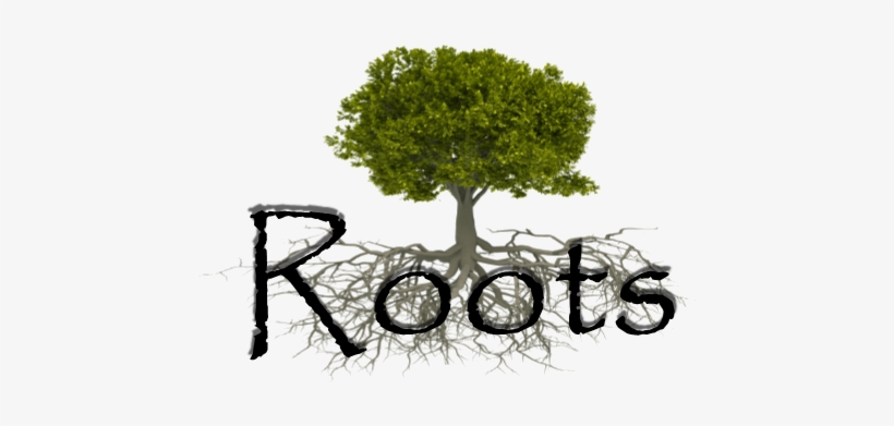 The Roots Seminars Are Saturday Classes That Cover - Oak, transparent png download