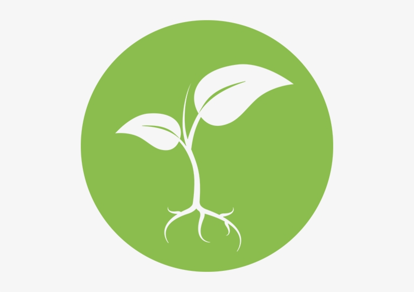 Roots Of Hope Is A Multi Site, Community Led Project - Roots Of Hope, transparent png download