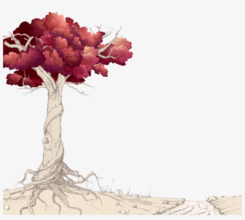 Copyright 2018 - Branched Roots - Bougainvillea, transparent png download