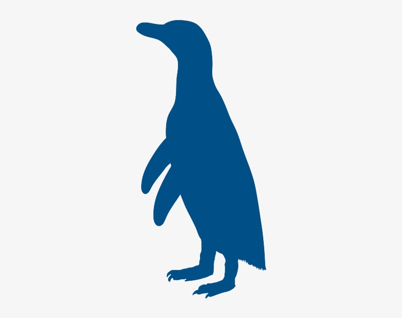 Vector, Penguin - Galapagos Conservation Trust, transparent png download