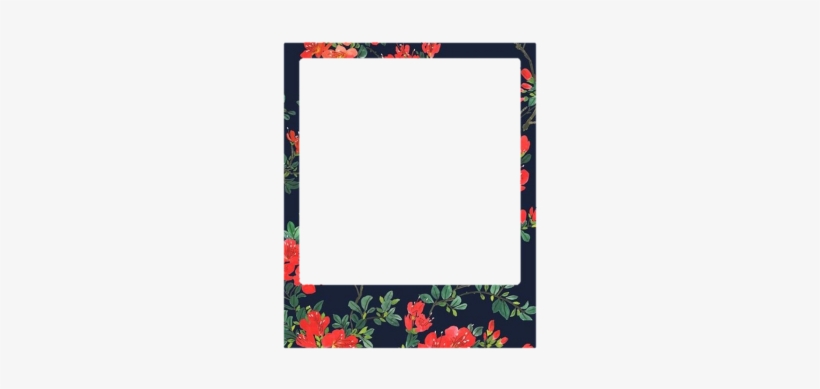 Frame Floral Border - Photography, transparent png download