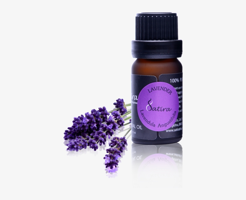 Pure Essential Oil - Endiglow Gua Sha & Cupping Oil Lavender Essential, transparent png download