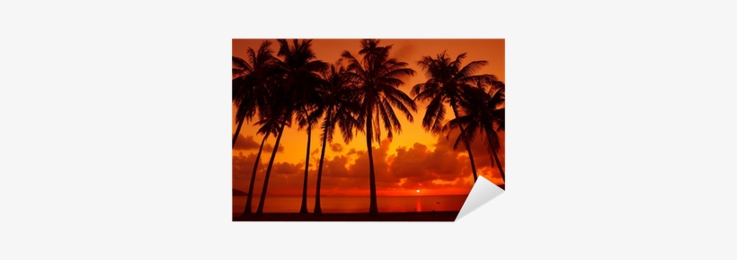 Palm Trees Silhouette On Tropical Beach At Warm Sunset - Sunset, transparent png download