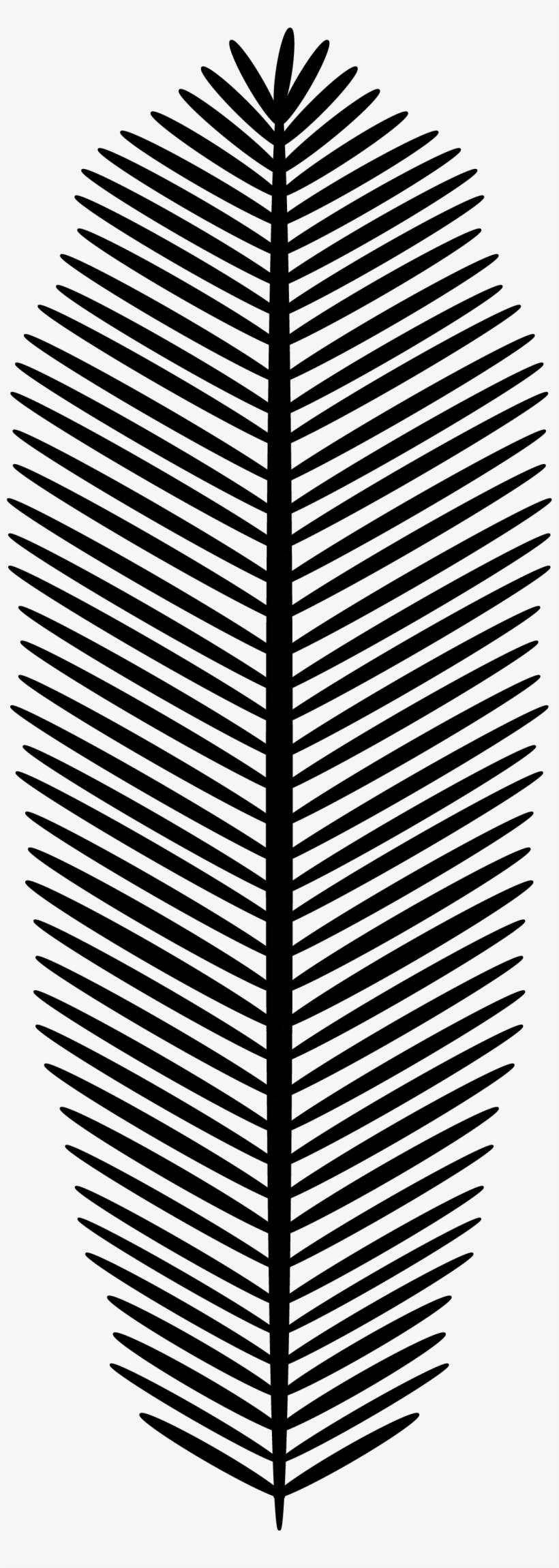 Palm Leaf 2 - Palm Leaf Png Black, transparent png download