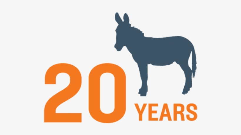 Donkeys Stolen, Killed For Their Skins - Car Sticker Donkey, transparent png download
