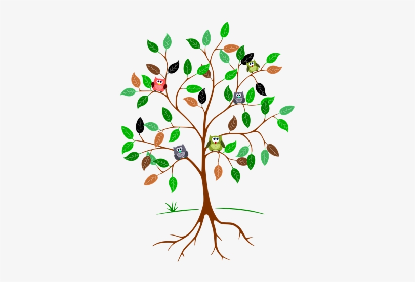Root Pipe Problems - Owls In A Tree Clipart, transparent png download