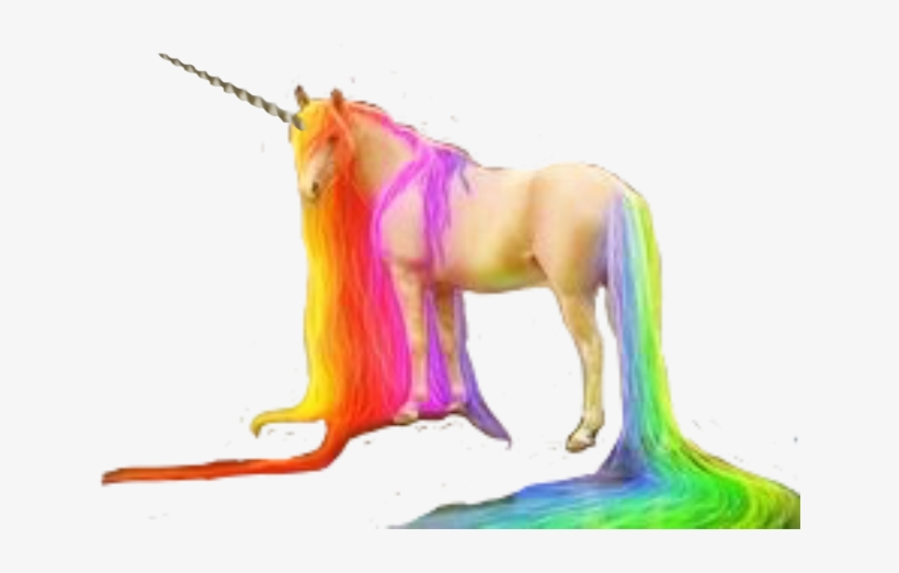 Report Abuse - Unicorn, transparent png download