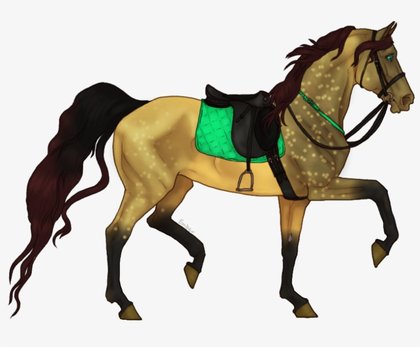 Varnish Roan, transparent png download