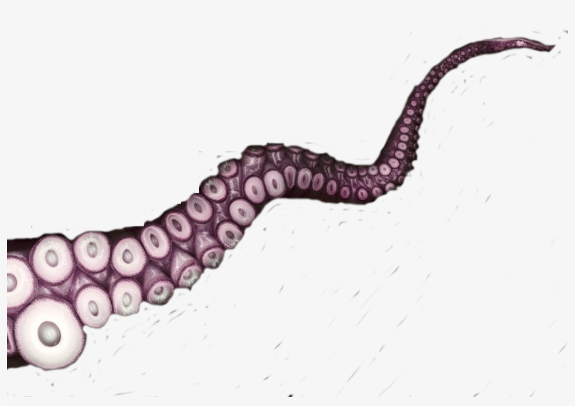 Report Abuse - Tentacles Png, transparent png download