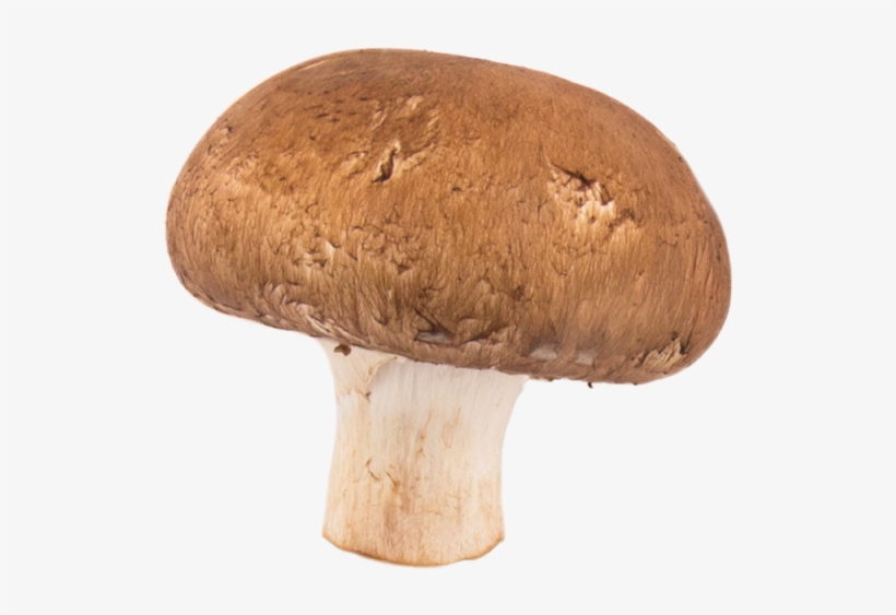 Mushroom Png Transparent Image - Mushroom, transparent png download