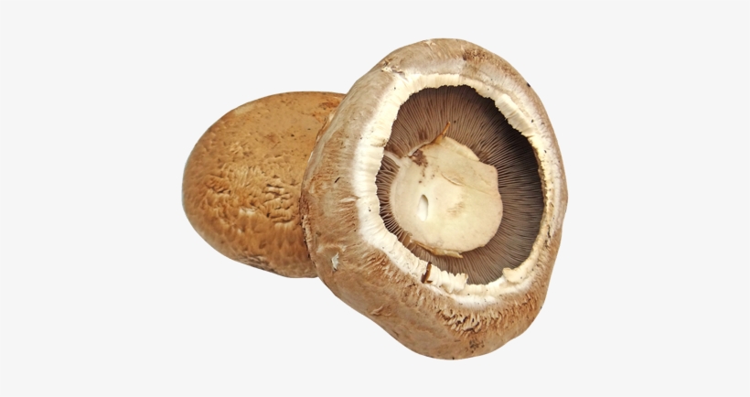 Mushroom Cultures - Portobello Mushroom Transparent Background, transparent png download