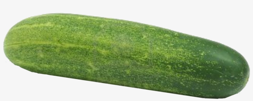 Single Cucumber Images .png, transparent png download