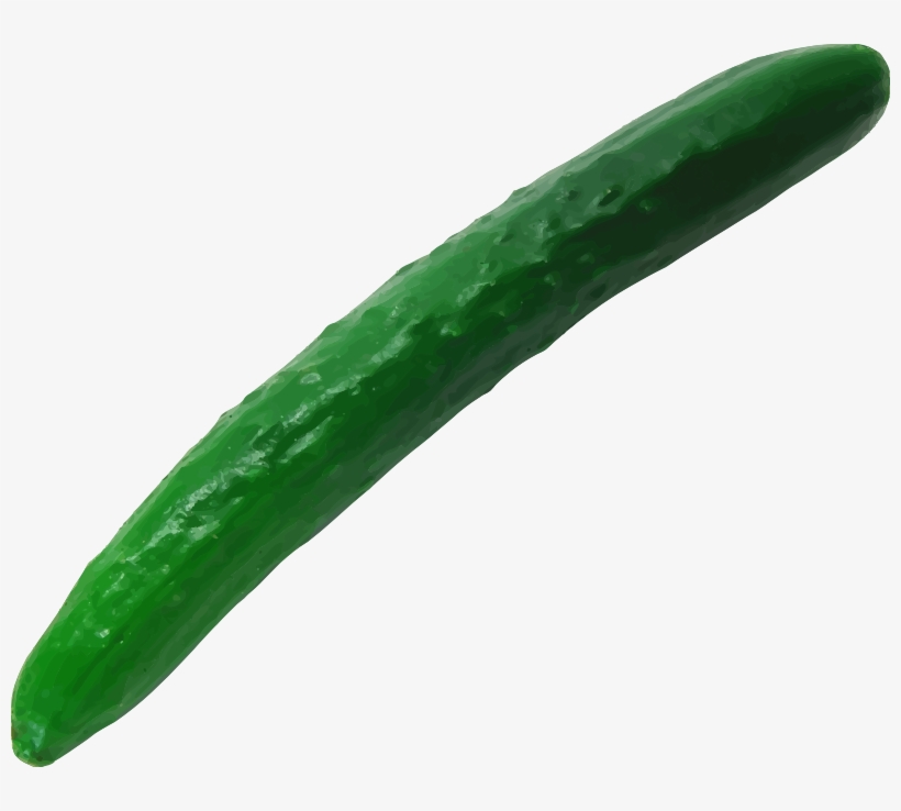 Medium Image - Big Cucumber Png, transparent png download