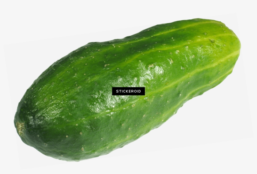 Large Green Cucumber - Gourd, transparent png download