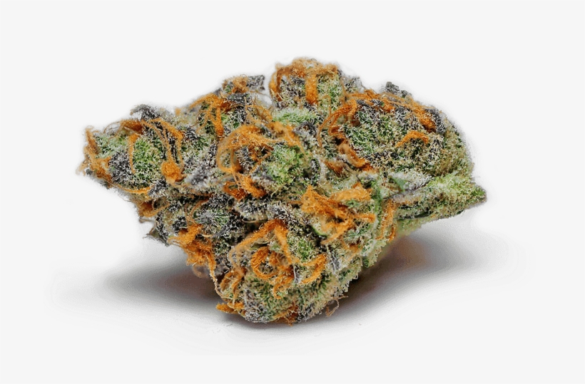 Pennywise Medical Marijuana Strain - Batholith, transparent png download