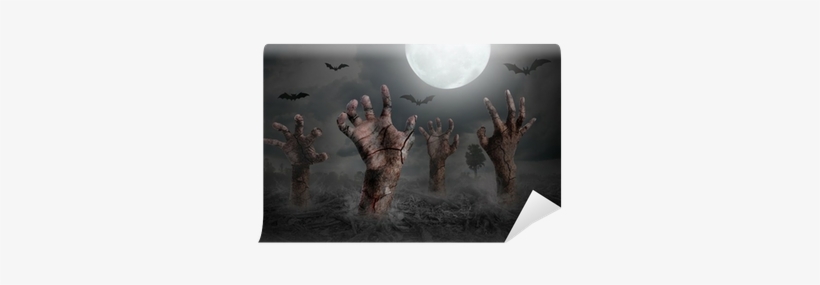 Zombie Hand Rising Out Of The Ground Wall Mural • Pixers® - Premature Burial And How It May Be Prevented: With, transparent png download