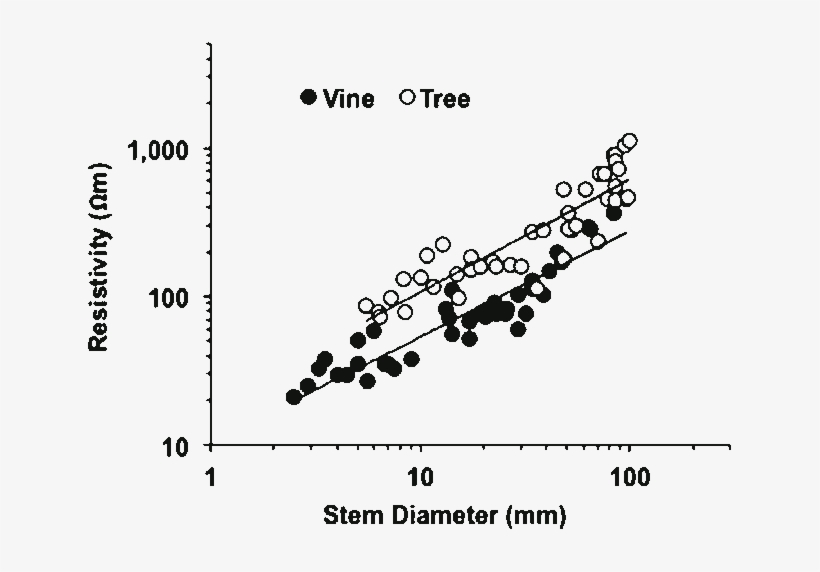 2 Electrical Resistivity Of Woody Vines And Tree Branches - Tree, transparent png download