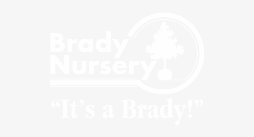 Bradylogo500wide Wtag - Indiana, transparent png download