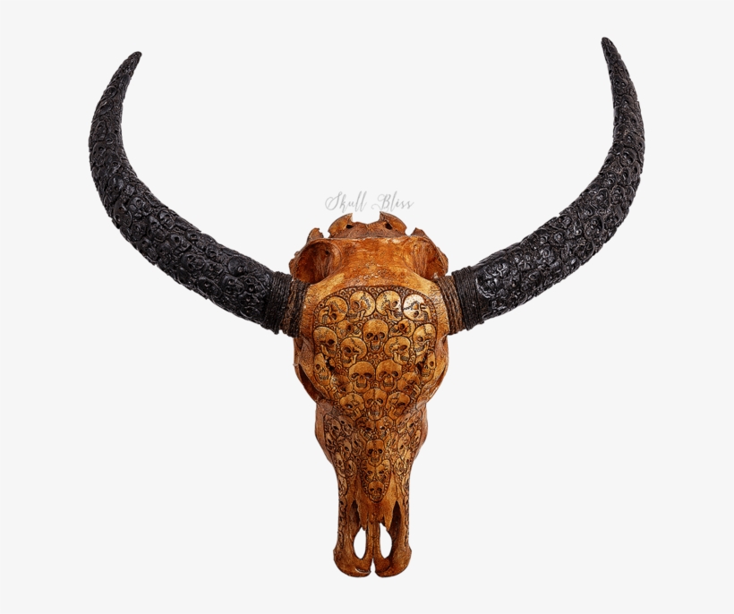 Carved Buffalo Skull // Carved Horns - Horn, transparent png download