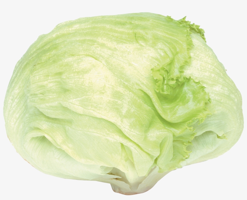Cabbage, transparent png download
