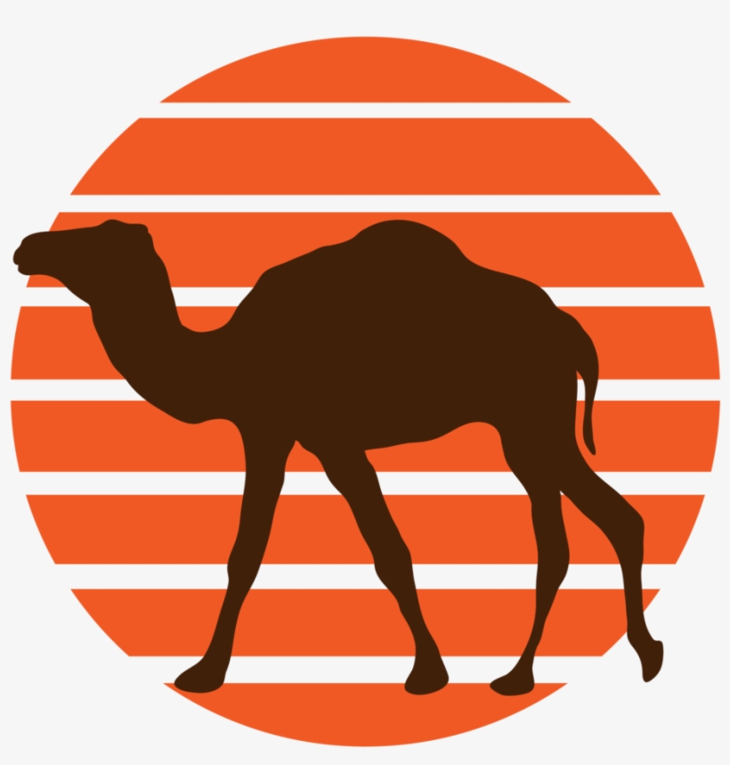 Camel Png, transparent png download