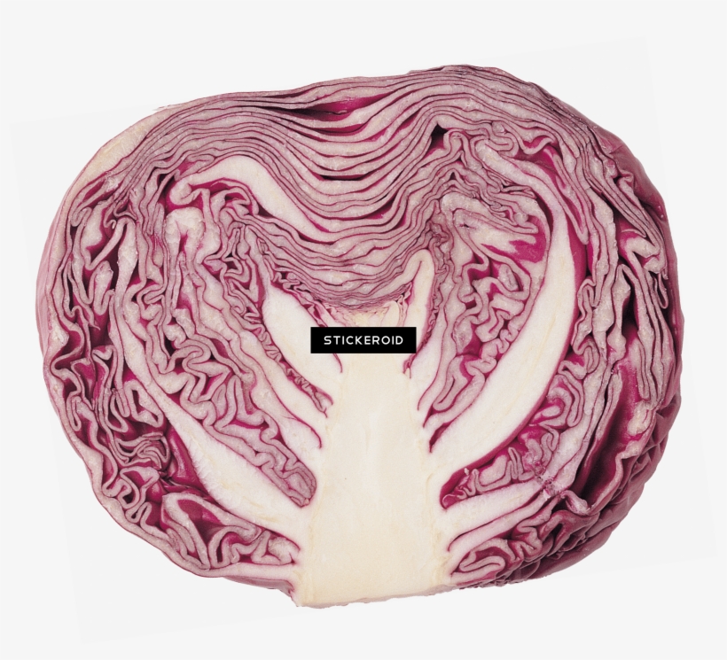 Cabbage Red - Kohl Groß, 3 Zoll-runder Magnet Runder Magnet 7,6 Cm, transparent png download