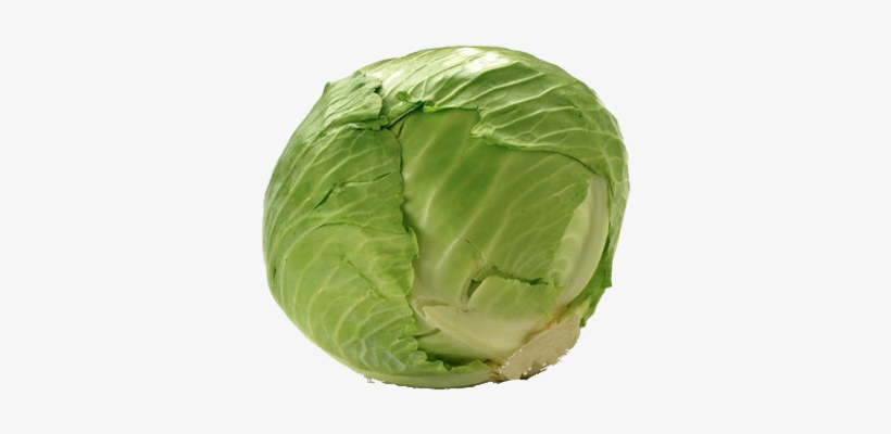 Cabbage - Green - Cabbage Price, transparent png download